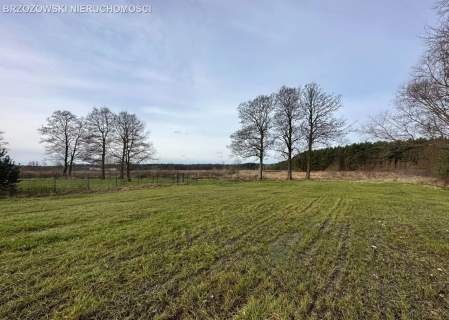 Solec, 2630 m2, MPZP mieszkaniowa jednorodzinna