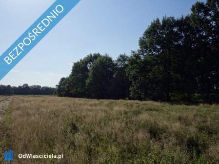 Skoczów Ochaby 62ar pod lasem nadaje się pod rekreacje