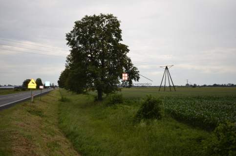 Sprzedam 80 a przy drodze krajowej nr 94/RADYMNO