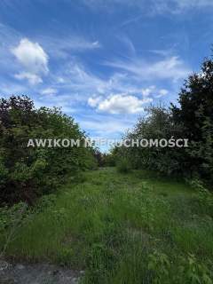 Grodzisk Mazowiecki, Centrum
