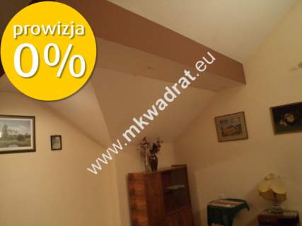 Dom z dużą działką. Też dla firmy.
