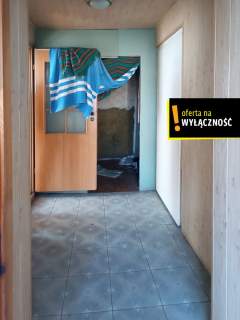 Dom z duża działką 6380m2 Niemojowice