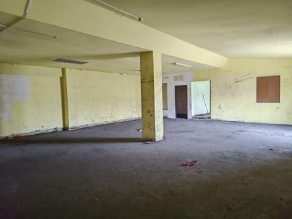 Hala, pomieszczenia magazynowe, plac - Czarnów