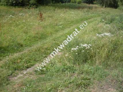REWELACYJNA DZIAŁKA POD INWESTYCJE