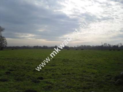 Działka rolna na sprzedaż, 130000 m2, Baranów