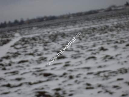 Działka 6450 m2 z domem i halą.