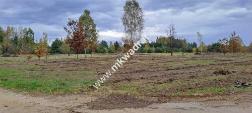Zboiska gm. Radziejowice MPZP 1300m2 S8