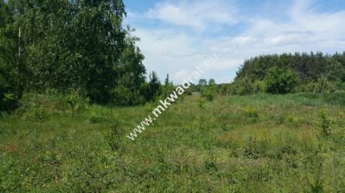 Działka rolna na sprzedaż, 54100 m2, Zboiska