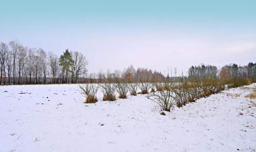 Działka pod Kazimierzem-16ar spokojna okolica 