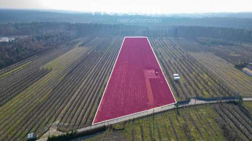 Działka rolna 2,25 ha - Marianka koło Tarczyna