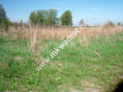 Działka inwestycyjna na sprzedaż, 10000 m2, Błonie
