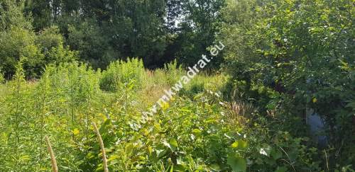 Osowiec gm. Żabia Wola 1653m2 narożna MPZP
