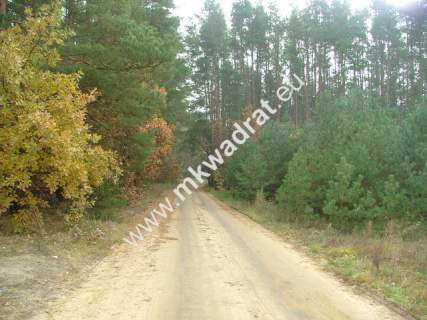 Działka budowlana na sprzedaż, 10000 m2, Nowe Polesie