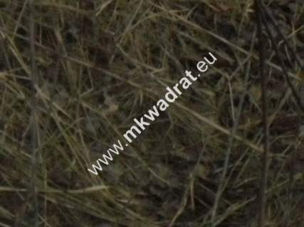 Ciekawa działka