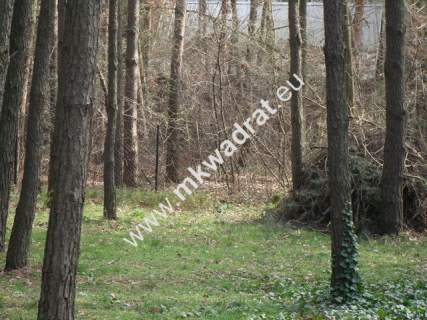 Działka budowlana na sprzedaż, 4000 m2, Stanisławów