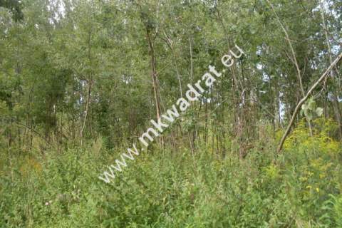 Działka budowlana na sprzedaż, 3830 m2, Pęcice Małe