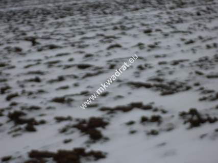 Działka 6450 m2 z domem i halą.