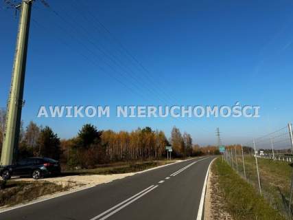 Działka rolna na sprzedaż, 11300 m2, Kotorydz