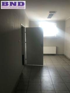 hala zabrze wynajem