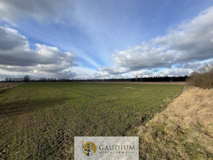 Działka 4600 m2 Sobieszewo ul. Uzdrowiskowa