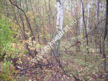 Działka budowlana na sprzedaż, 9300 m2, Jaktorów