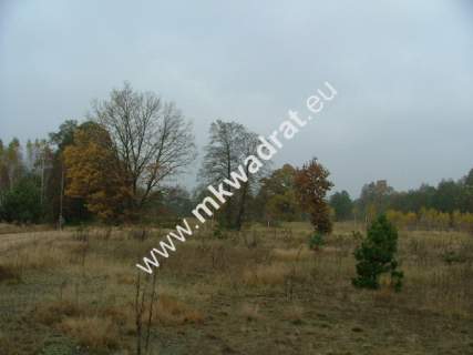 Działka budowlana na sprzedaż, 10000 m2, Nowe Polesie