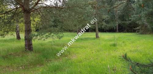 Działka 1352m2 w sąsiedztwie lasu Ojrzanów