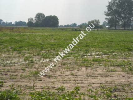 Działka budowlana na sprzedaż, 3000 m2, Nowy Drzewicz