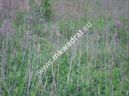 Działka z pozwoleniem na budowę