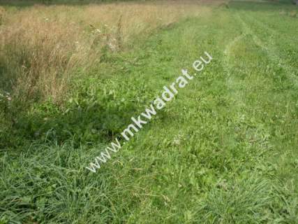 Działka budowlana na sprzedaż, 11124 m2, Mszczonów