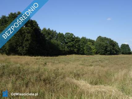 Skoczów Ochaby 62ar pod lasem nadaje się pod rekreacje