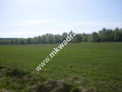 Działka rolna na sprzedaż, 3010 m2, Gąba