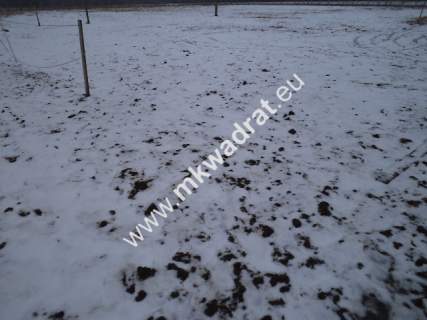 Działka siedliskowa na sprzedaż, 12000 m2, Powązki