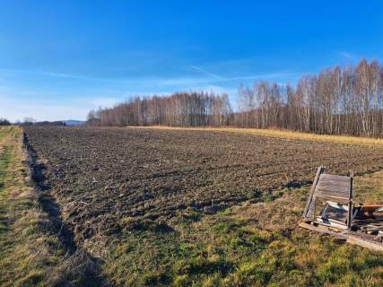 Działki budowlane w miejscowości Szynwałd