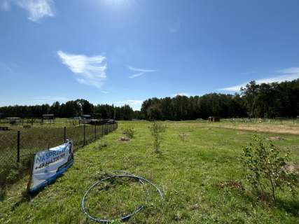 ŚRODEK LASU, DZIAŁKA 5 ARÓW,OSTOJA BARYCZY, NATURA