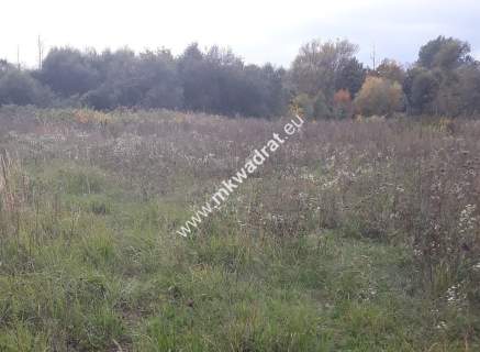 Działka siedliskowa