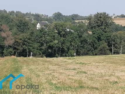 Działka rolna koło Cieszyna