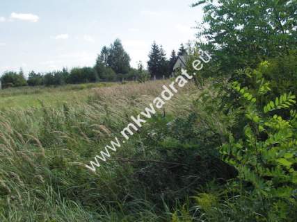 Działka inwestycyjna na sprzedaż, 10000 m2, Błonie