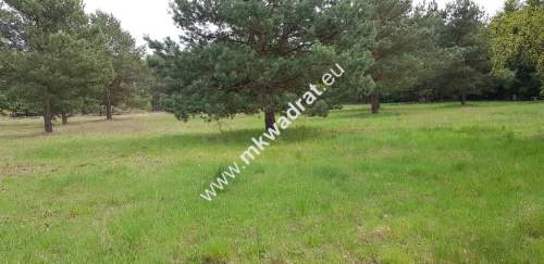 Działka 1352m2 w sąsiedztwie lasu Ojrzanów