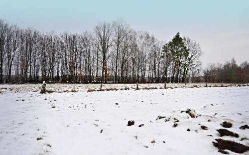Działka pod Kazimierzem-16ar spokojna okolica 