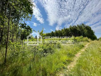 Nowe Tokary ulica Radosna działka 1444 m kw.