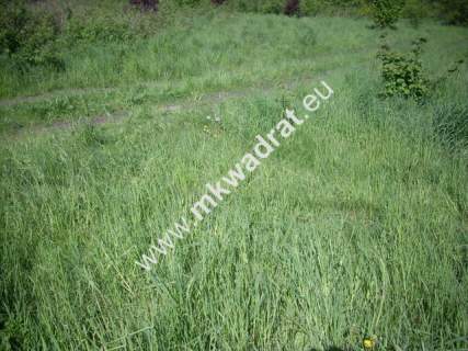 Działka budowlana na sprzedaż, 6000 m2, Mariampol