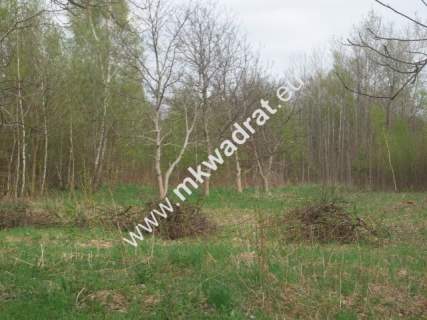 Działka budowlana 27 000 m Bukówka