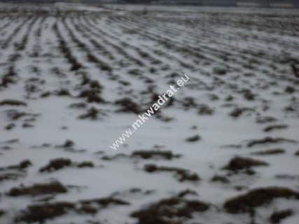 Działka 6450 m2 z domem i halą.