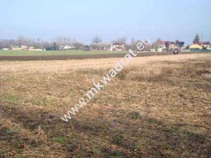 Działka rolna na sprzedaż, 7100 m2, Chlebnia