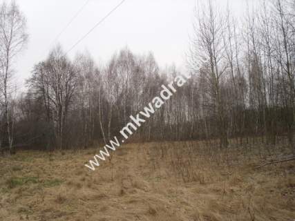 Działka budowlana na sprzedaż, 10900 m2, Stare Budy