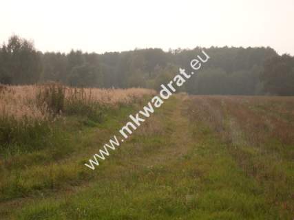 Działka budowlana na sprzedaż, 20000 m2, Nowe Budy