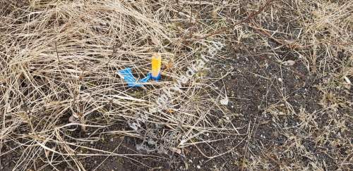 Działka z dojazdem od ulicy gminnej