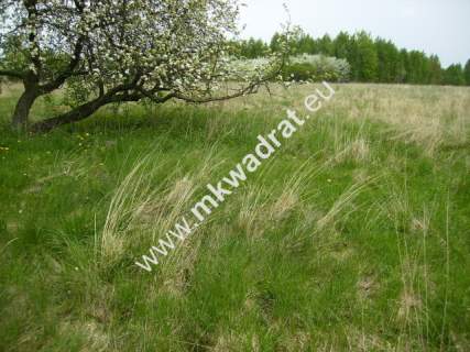 Działka budowlana na sprzedaż, 12600 m2, Budy Mszczonowskie