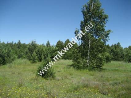 Działka rolna na sprzedaż, 4000 m2, Grzegorzewice